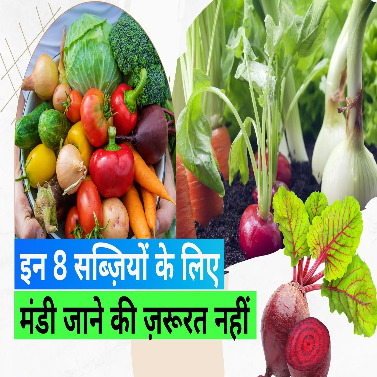 Grow Vegetables at Home: घर पर आसानी से उगा सकते हैं ये 8 सब्ज़ियां, नहीं लगती ज़्यादा मेहनत